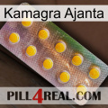 Kamagra Ajanta new11
